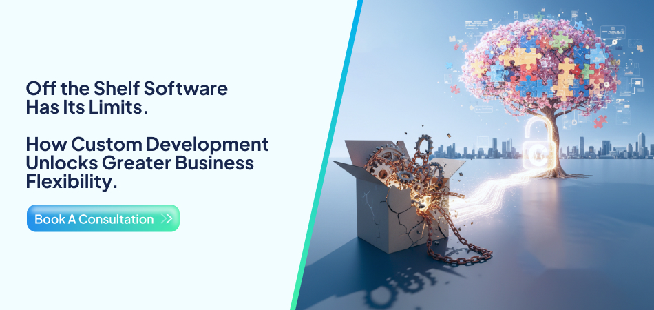 Custom Software Development providing flexible business solutions beyond off-the-shelf software.